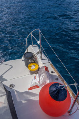 Azores, baiting Blue Sharks at Princess Alice Banks