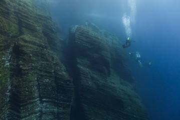 Azores, underwater landscape