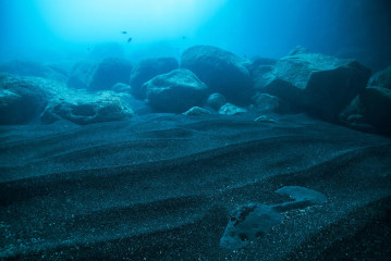 Azores, underwater landscape