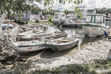 Mexico, Cozumel, Caleta Port