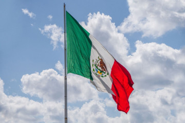Mexican Flag