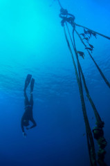 Philippines, Moalboal, Freediving, Zean Villongco