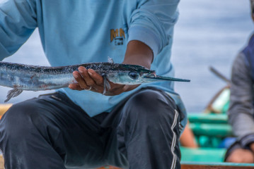 Philippines, Calayan Islands, fish catch