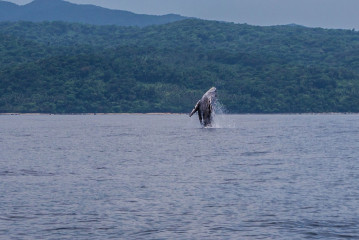 Calayan-DSC00895-2
