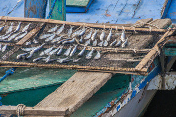 Philippines, Palawan, dried fish