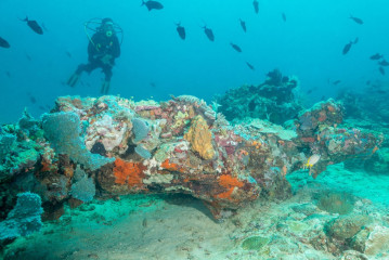Philippines, Palawan, Puerto Princesa, diver with corals
