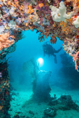 Philippines, Palawan, Puerto Princesa, diver with coral arch