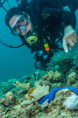 Philippines, Palawan, Puerto Princesa, diver with star fish