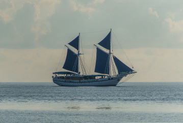 DSC02882