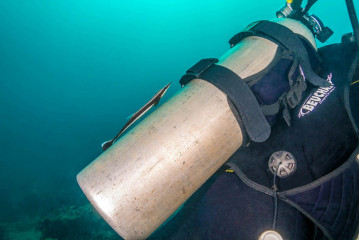Philippines, Palawan, Puerto Princesa, diver with remora fish