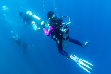 Philippines, diving for whalesharks at Ticao Island