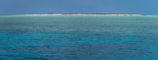 Philippines, Tubbataha reef bird colony