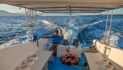 Dolphin Tour, Bunaken Island, Manado, Indonesia