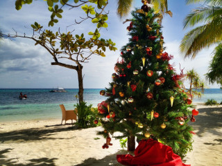 Philippines, Malapascua, Beach, Christmas Tree