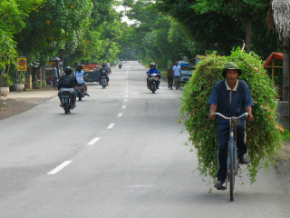 Indonesia, Bali, Cyclist