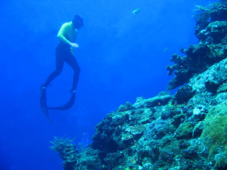 Indonesia, Bali, Tulamben, Freediver