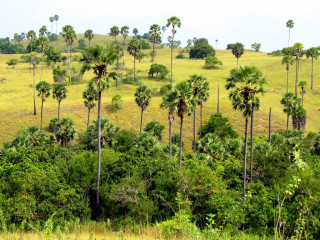 Indonesia, Komodo Landscape