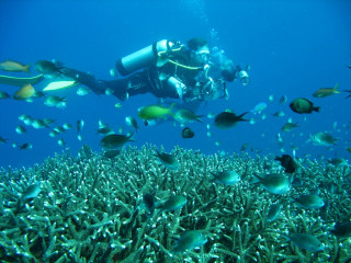Mathias Weck, Diving with Camera