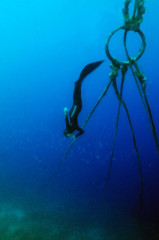 Philippines, Moalboal, Freediver