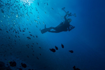 Philippines, Moalboal, Pescador Island, School of Sardines