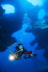 Philippines, Moalboal, Pescador Island, Cathedral, Reef with Diver