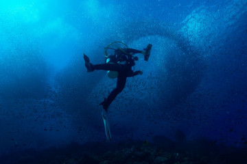 Philippines, Moalboal, Pescador Island, School of Sardines