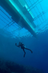 Philippines, Moalboal, Diver underneath Boat