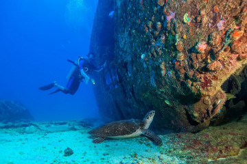 Mexico, Isla Mujeres, Canonero 58 Wreck with Turtle and Diver