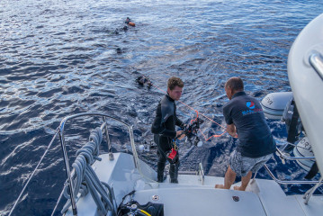 Azores, group of divers