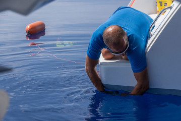 Azores, baiting Blue Sharks at Princess Alice Banks
