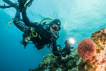 Azores, diver with sea urchin