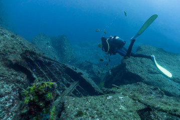 Azores, underwater landscape