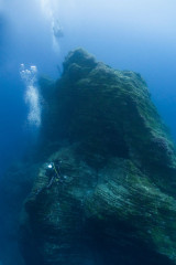 Azores, underwater landscape