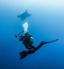 50-Azores-Azores, Manta rays at Princess Alice Banks-Manta---01---DSC01979