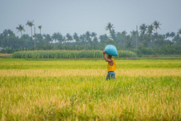 Philippines, Santa Ana, rice field with worker