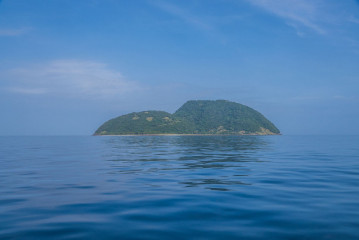Philippines, Calayan Islands, Whale watching