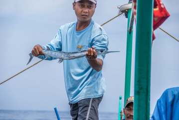 Philippines, Calayan Islands, fish catch