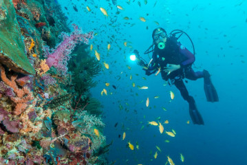 Philippines, diver with corals, Pintuyan Island