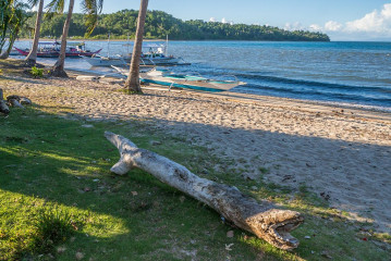 Philippines, Bangka boats, Ticao Island beach