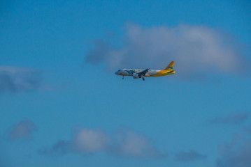Philippines, Puerto Princessa, Cebu Pacific Airplane landing