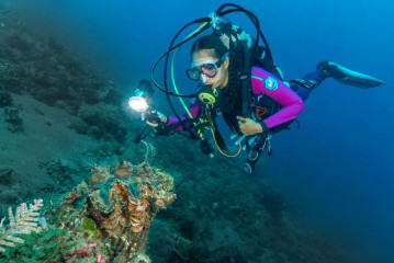 Philippines, clam with diver, Pintuyan Island