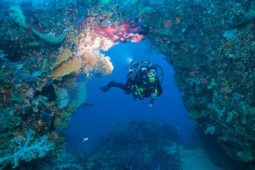Philippines, Palawan, Puerto Princesa, diver with coral arch