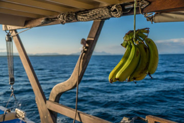 Philippines, "Dschubba", bananas, Safari Boat Tubbataha
