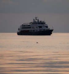 Philippines, safari boat, Tubbataha reef