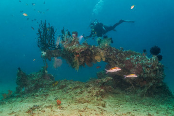 Philippines, Palawan, Puerto Princesa, diver with coral formation