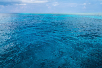 Philippines, Tubbataha reef bird colony