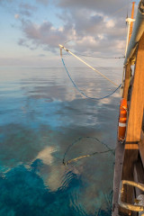 Philippines, "Dschubba", Safari Boat Tubbataha