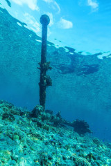 Philippines, wreck at Tubbataha reef