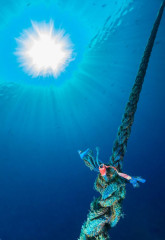 Philippines, anchor line at Tubbataha reef