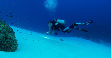 Philippines, diver at sandy area at Tubbataha reef